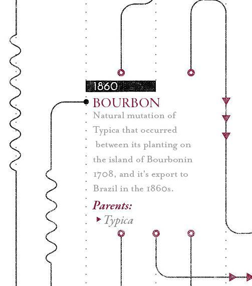 Variety Family Tree Timeline Print