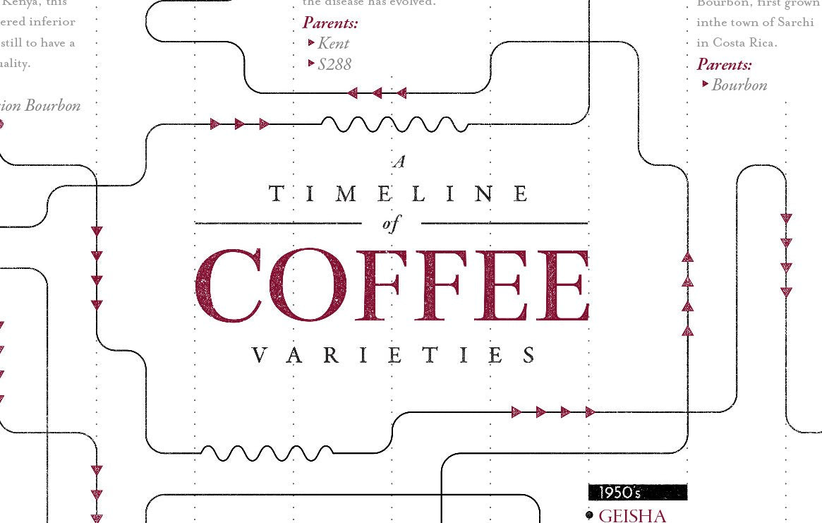 Variety Family Tree Timeline Print